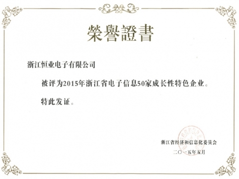 浙江省電子信息成長特色企業